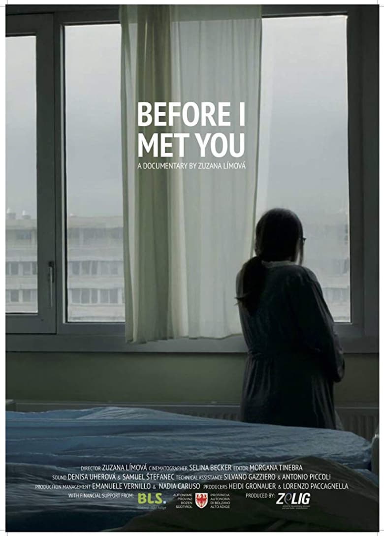 Poster of Before I Met You