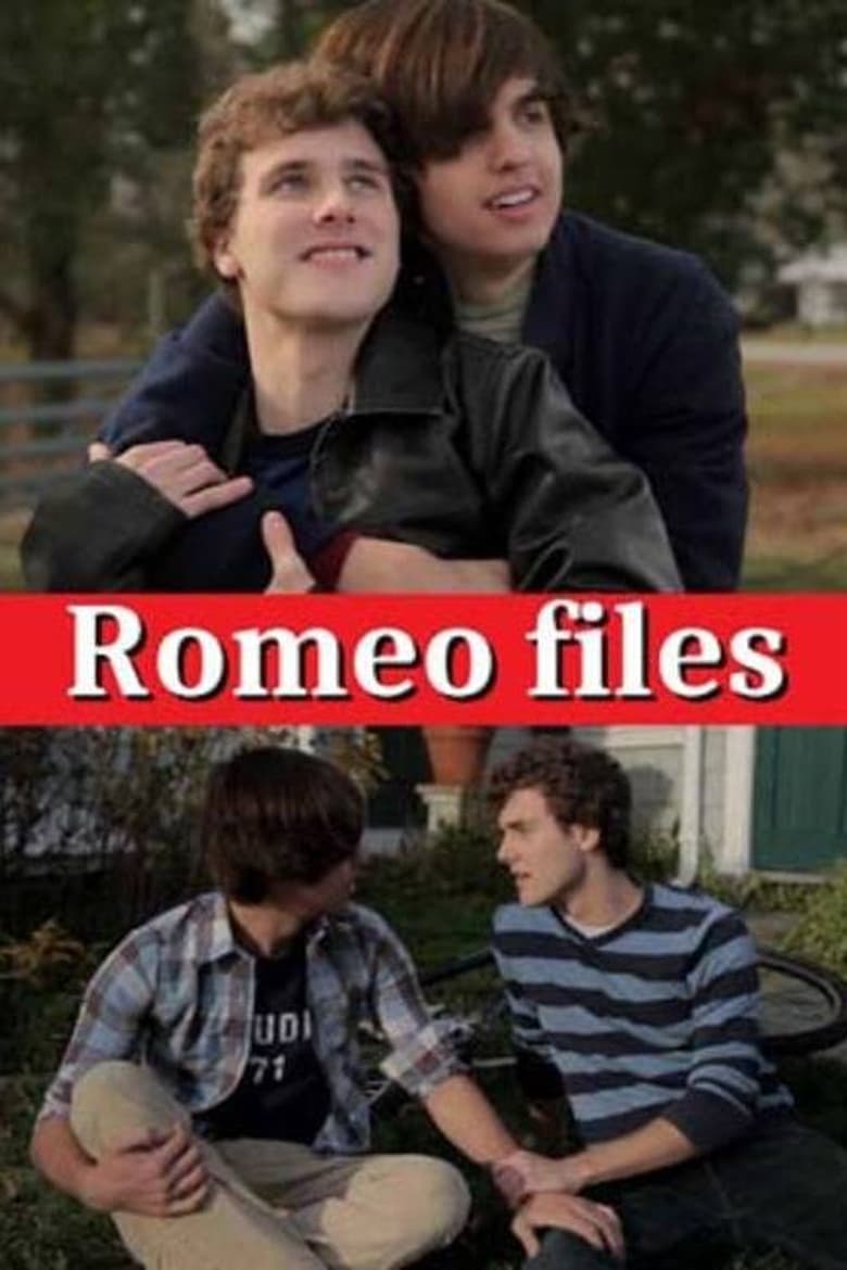 Poster of The Romeo Files