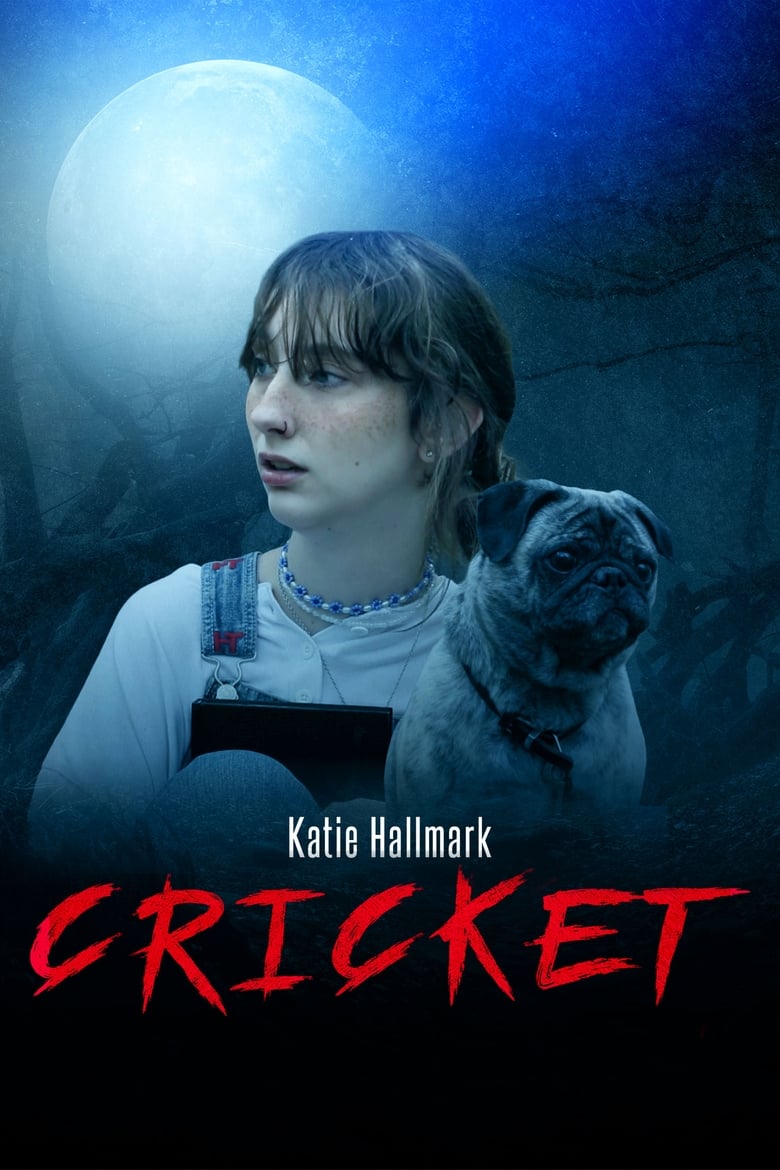 Poster of CRICKET