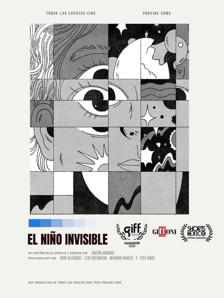 Poster of El niño invisible