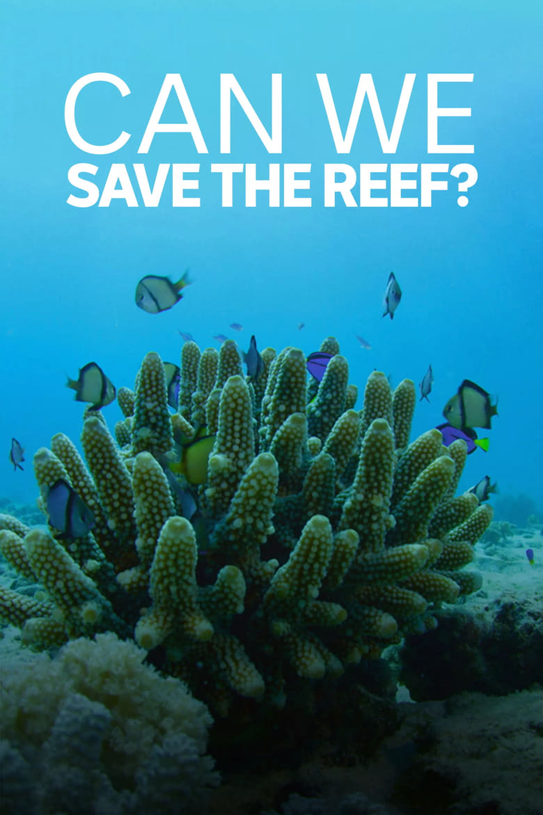 Poster of Can We Save the Reef?