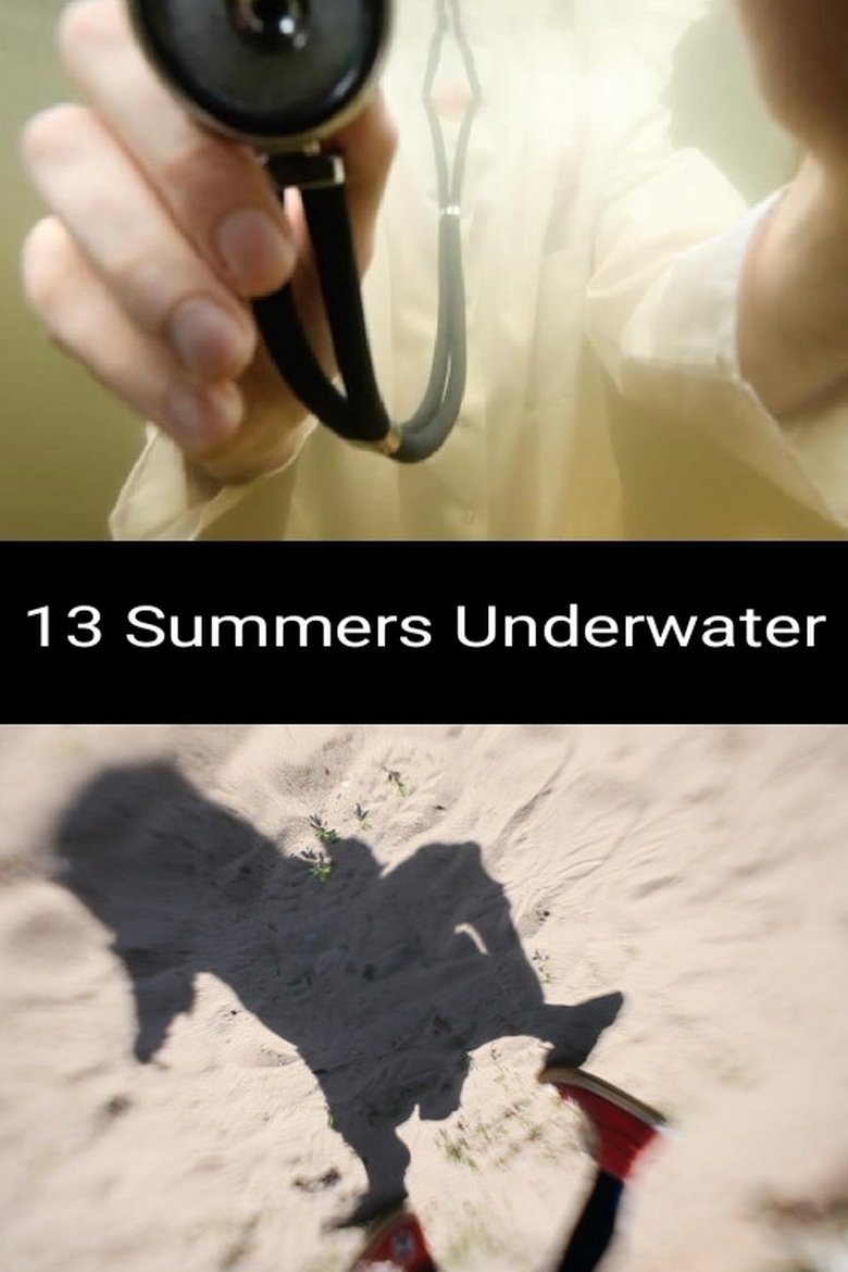 Poster of 13 Summers Underwater