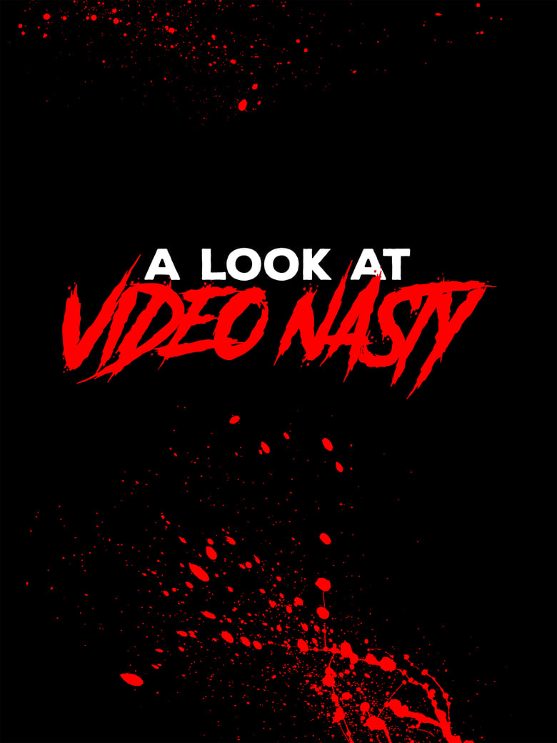 Poster of A Look at Video Nasty