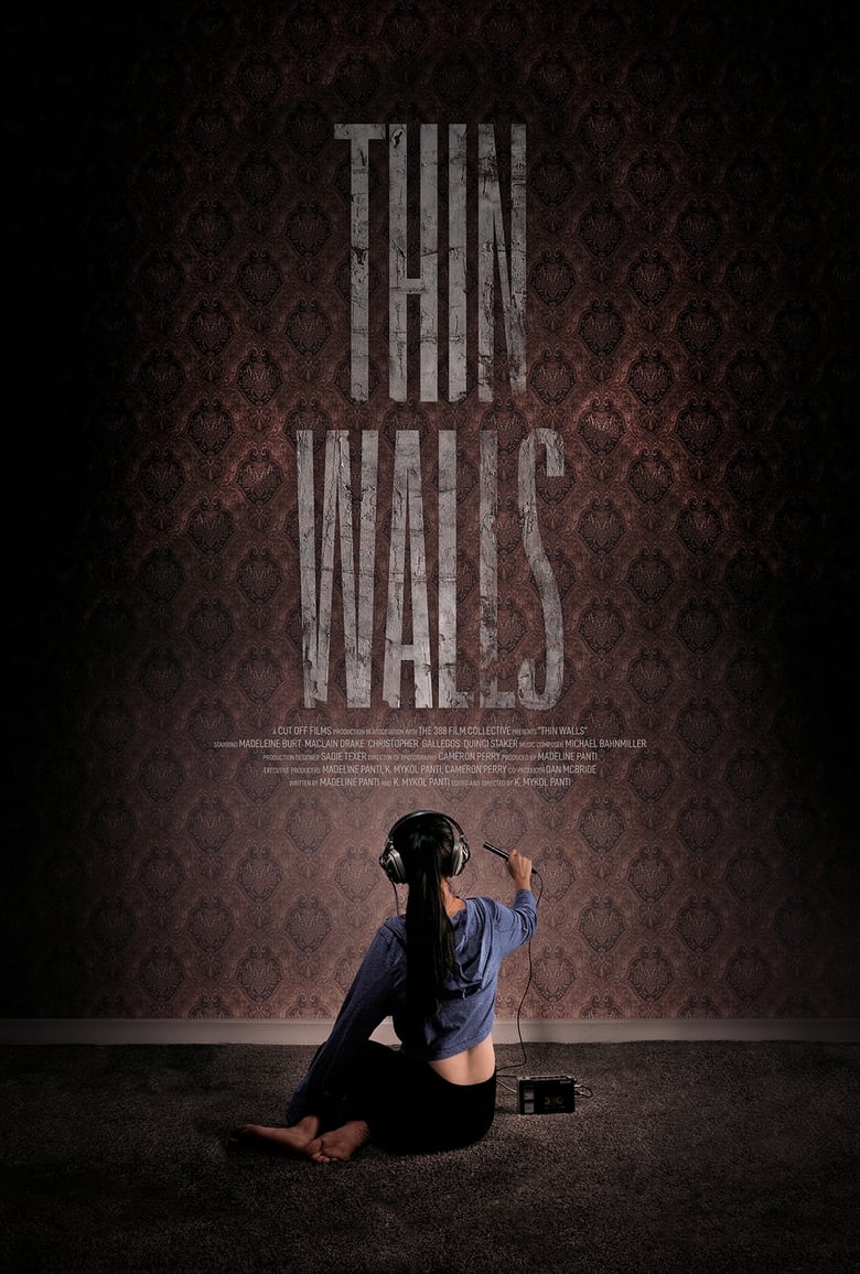 Poster of Thin Walls