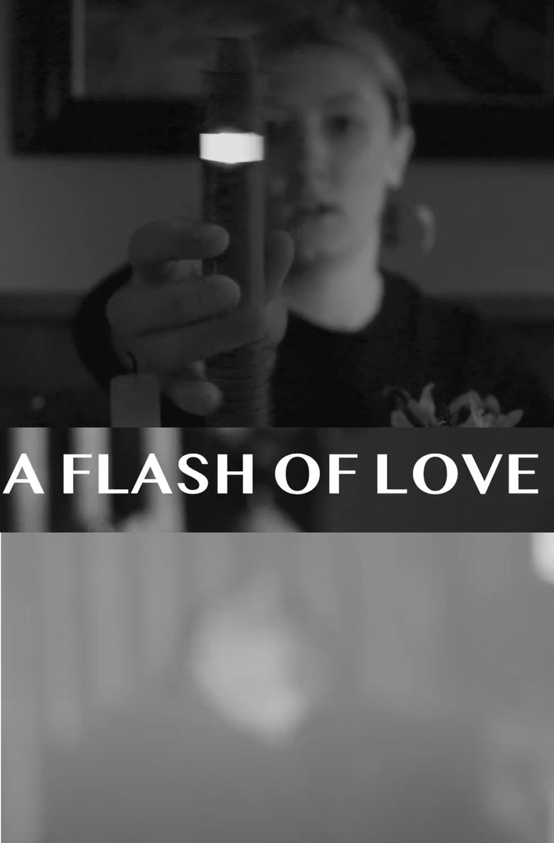 Poster of A Flash Of Love
