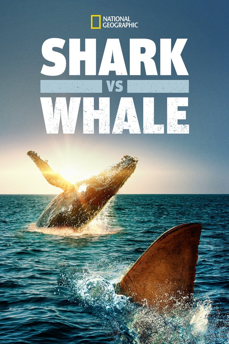 Poster of Shark Vs. Whale