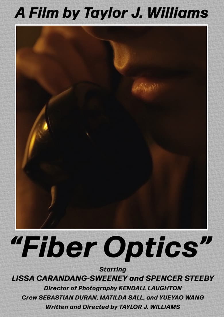 Poster of Fiber Optics