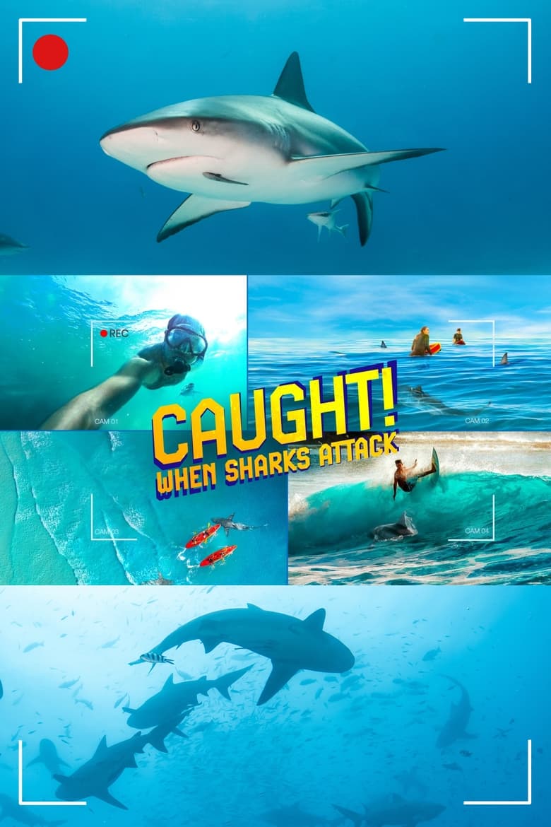 Poster of Caught! When Sharks Attack