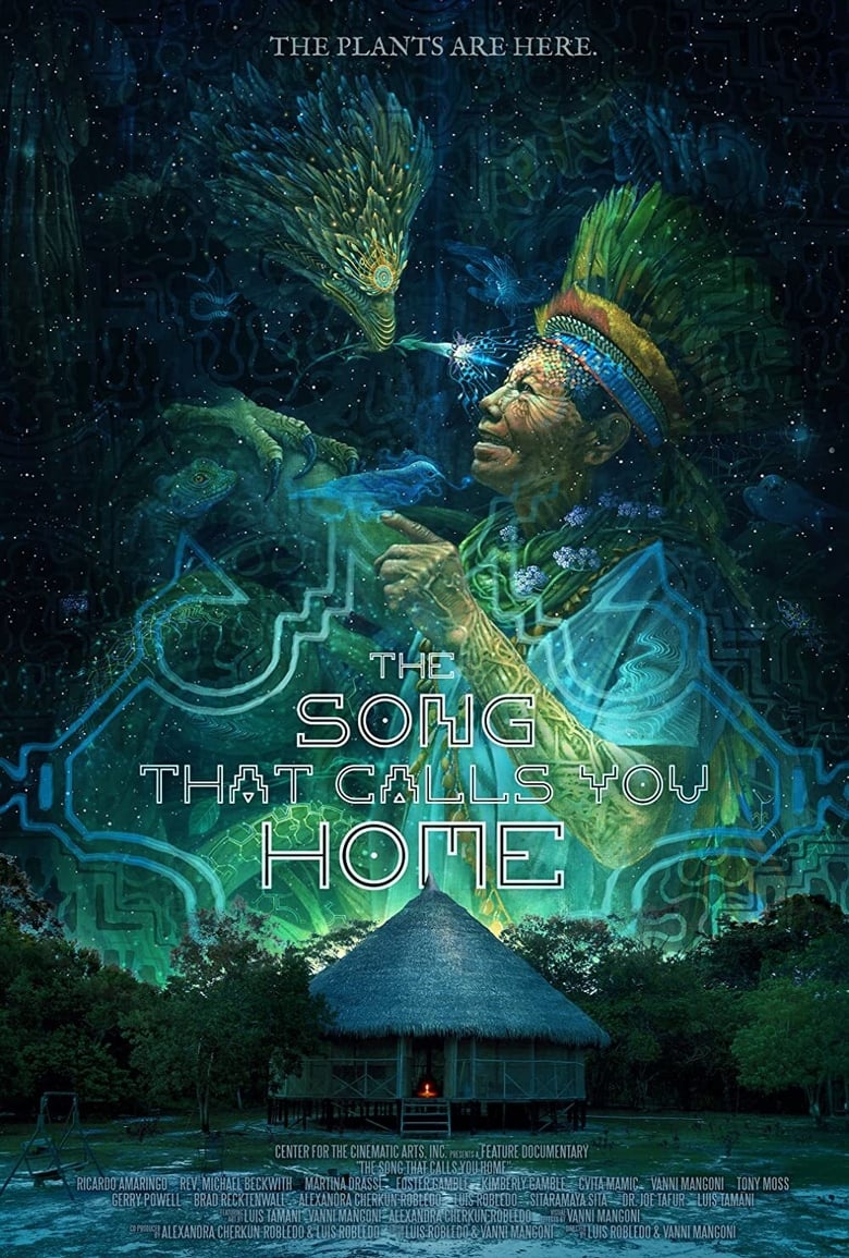 Poster of The Song That Calls You Home