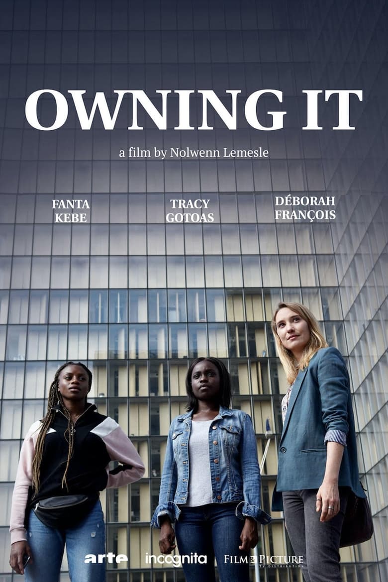 Poster of Owning it