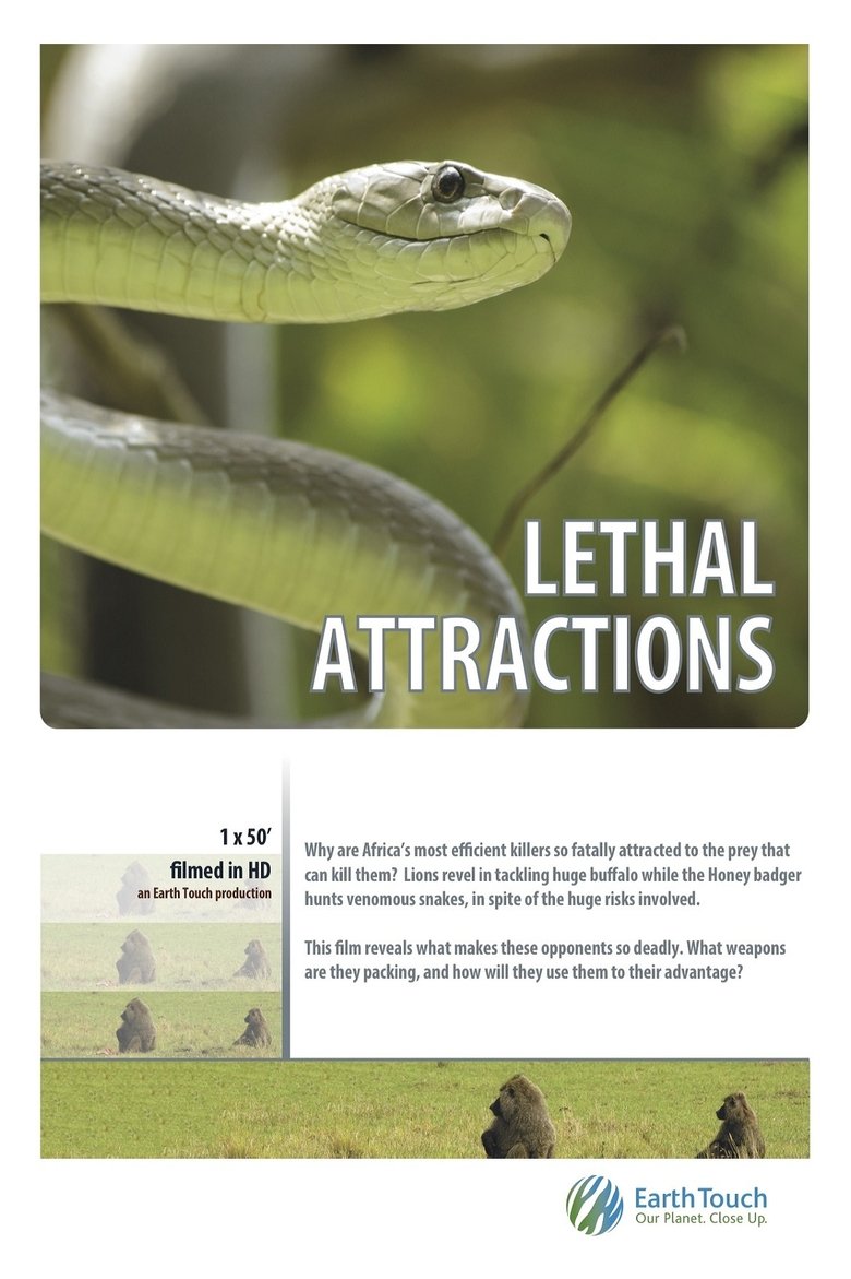 Poster of Lethal Attractions