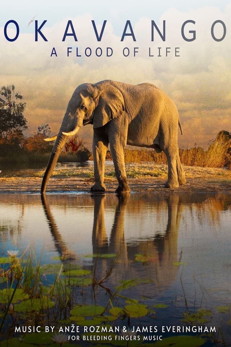 Poster of Okavango: A Flood of Life