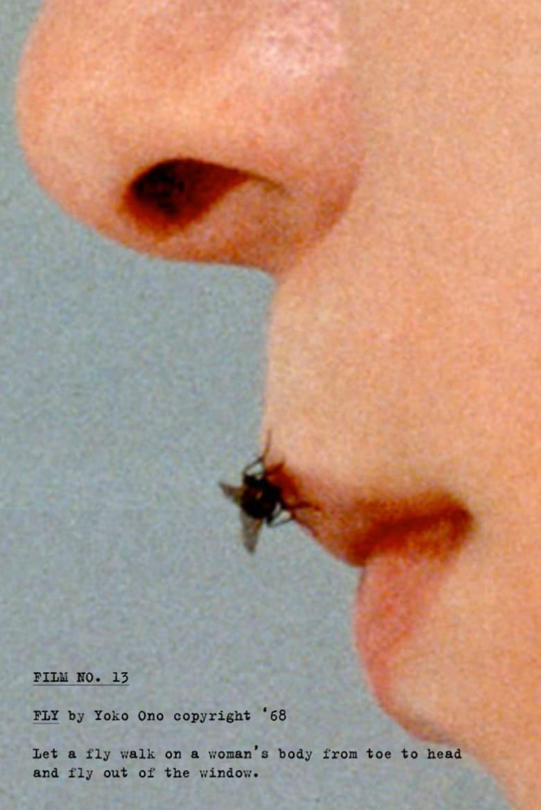 Poster of Fly