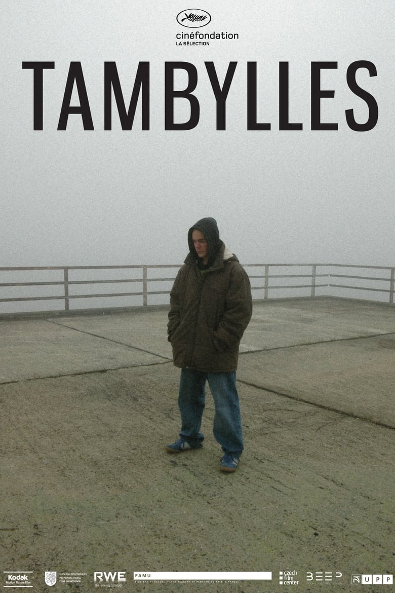 Poster of Tambylles