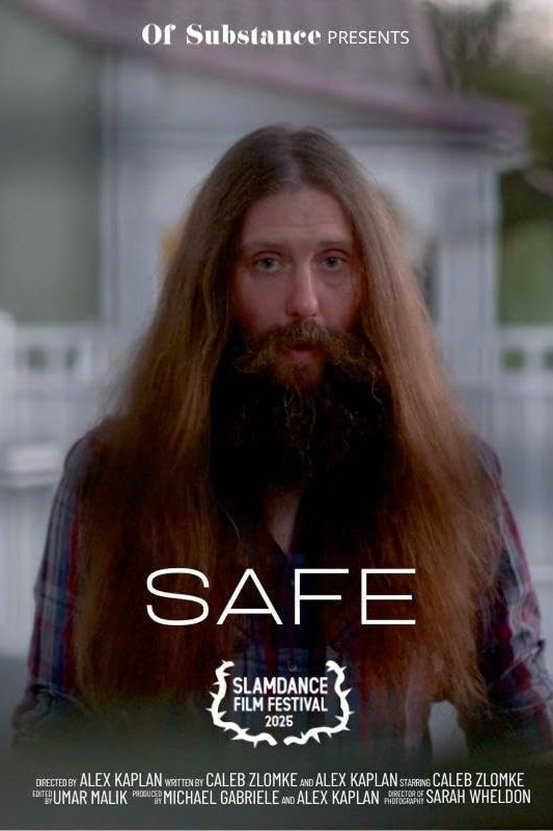 Poster of SAFE