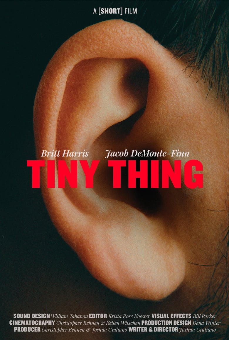 Poster of Tiny Thing