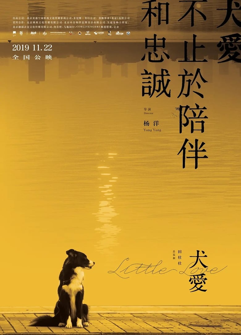 Poster of Little Love