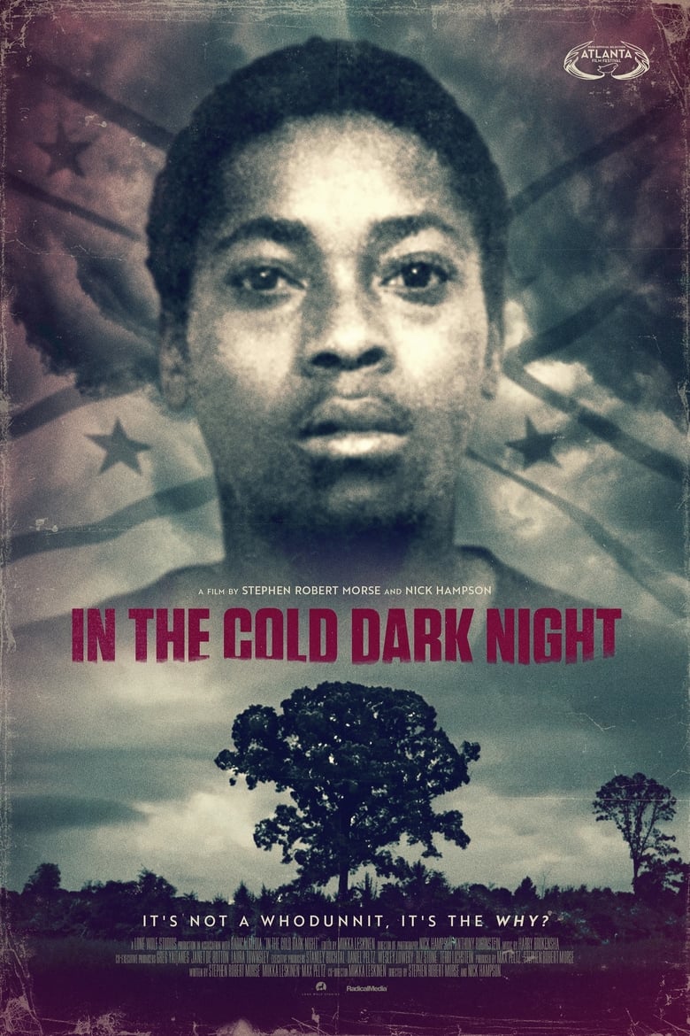 Poster of In The Cold Dark Night