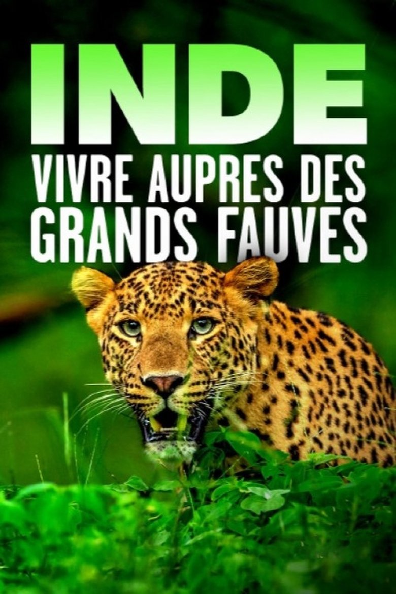 Poster of Inde - Vivre auprès des grands fauves