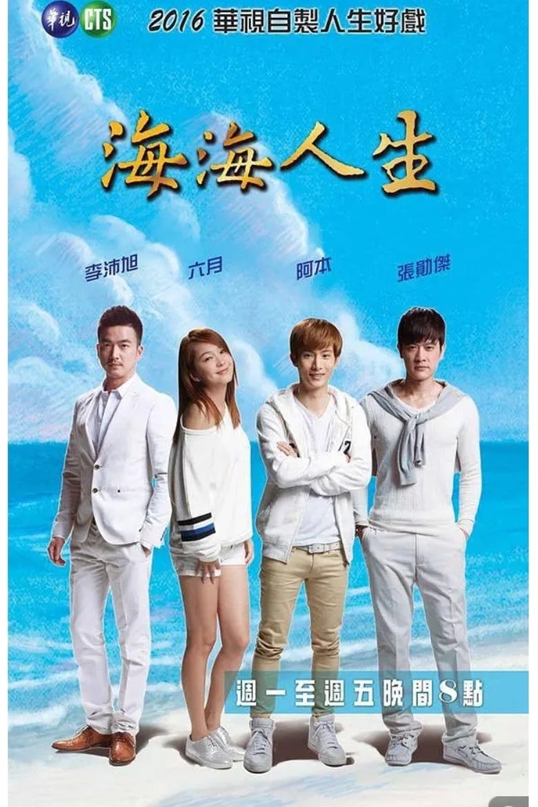 Poster of 海海人生