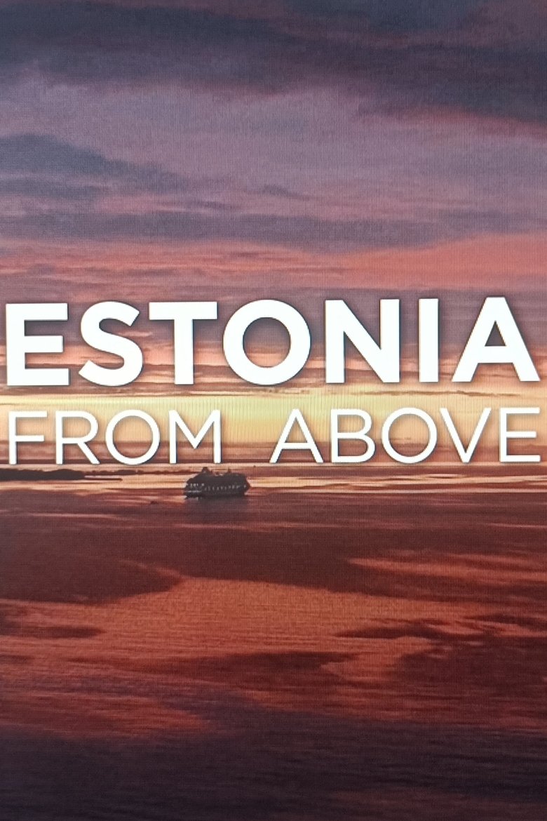 Poster of Estonia from above