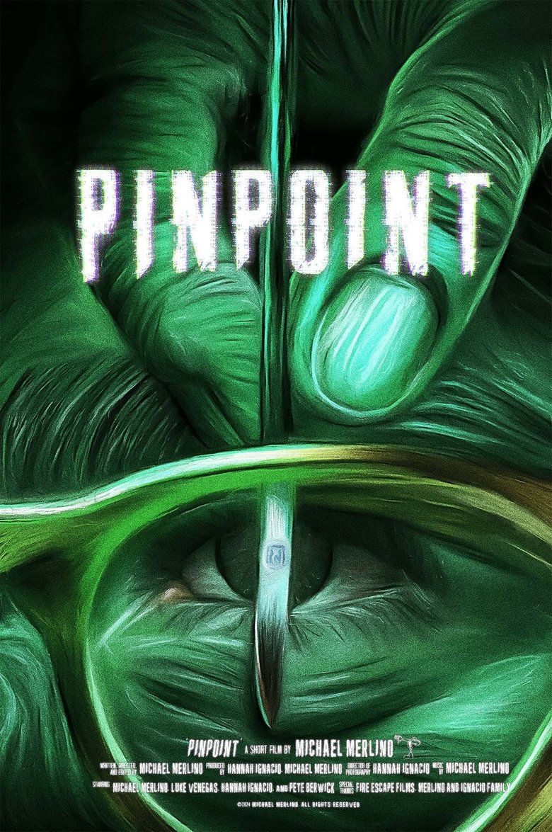 Poster of PINPOINT