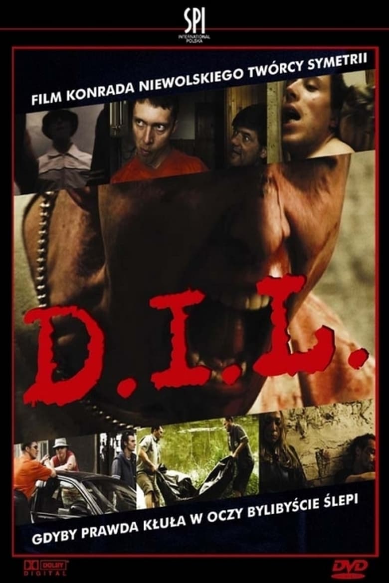 Poster of D.I.L.