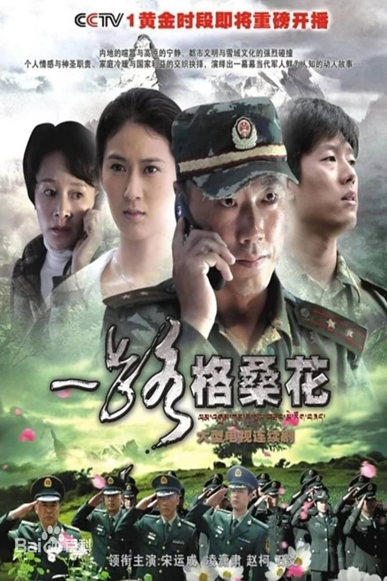 Poster of 一路格桑花