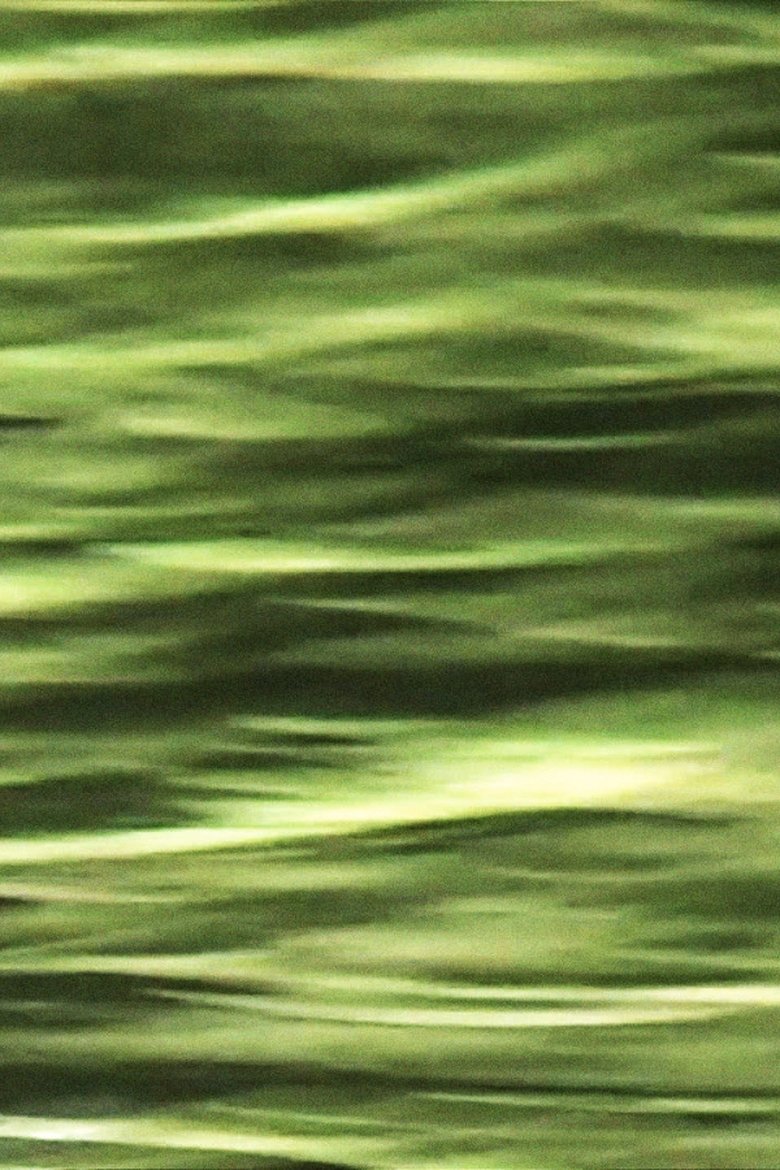 Poster of Reflections