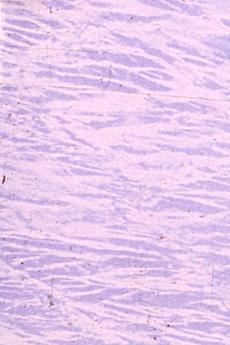 Poster of Angels'