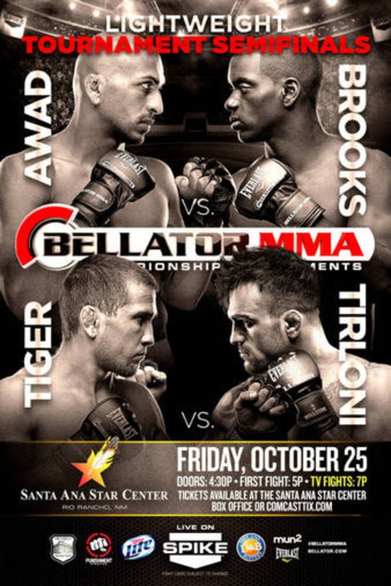 Poster of Bellator 105