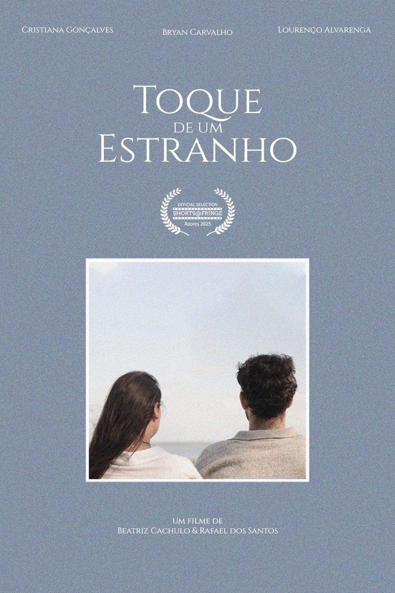 Poster of A Stranger's Touch