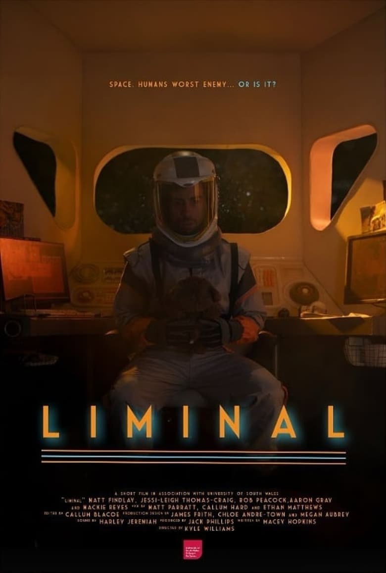 Poster of Liminal