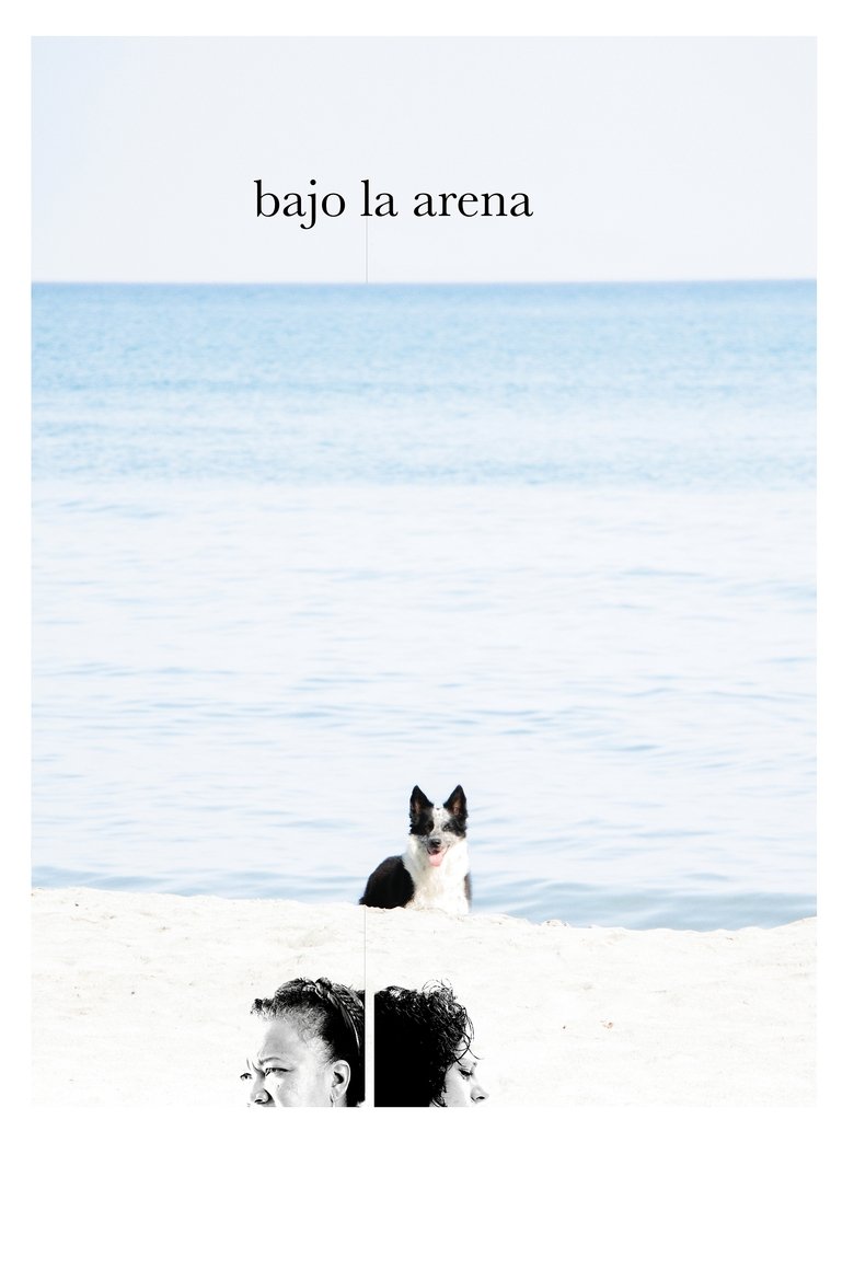Poster of Under the Sand