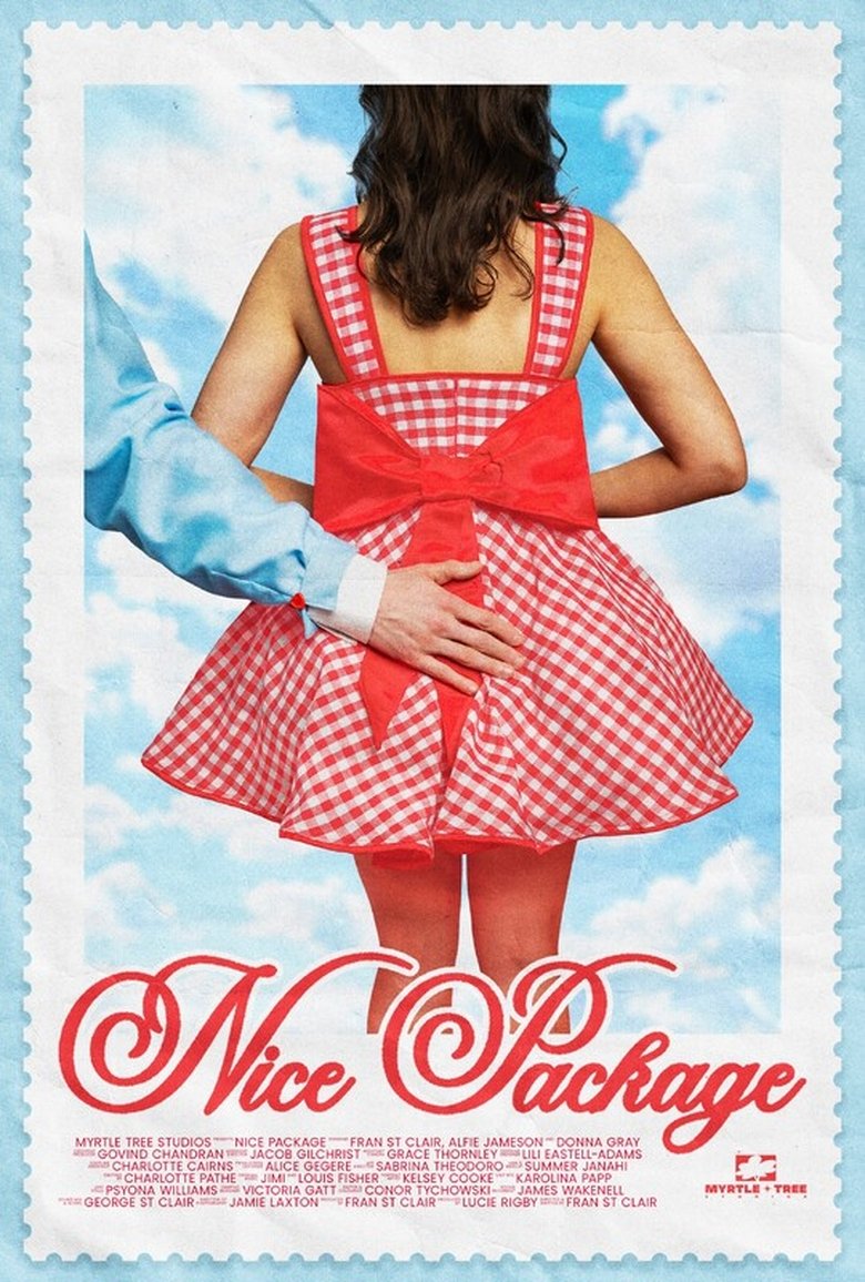 Poster of Nice Package