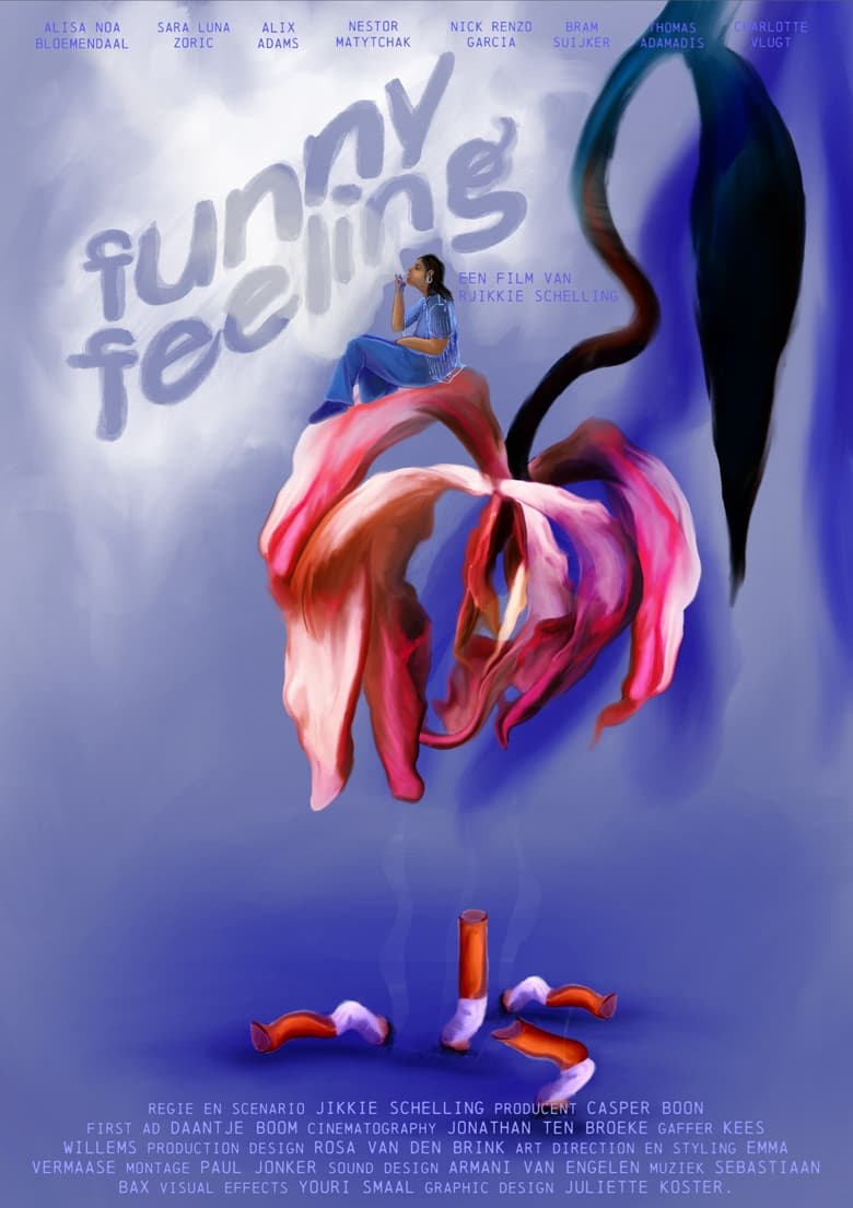 Poster of Funny Feeling