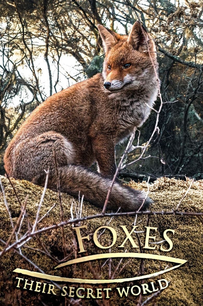 Poster of Foxes: Their Secret World