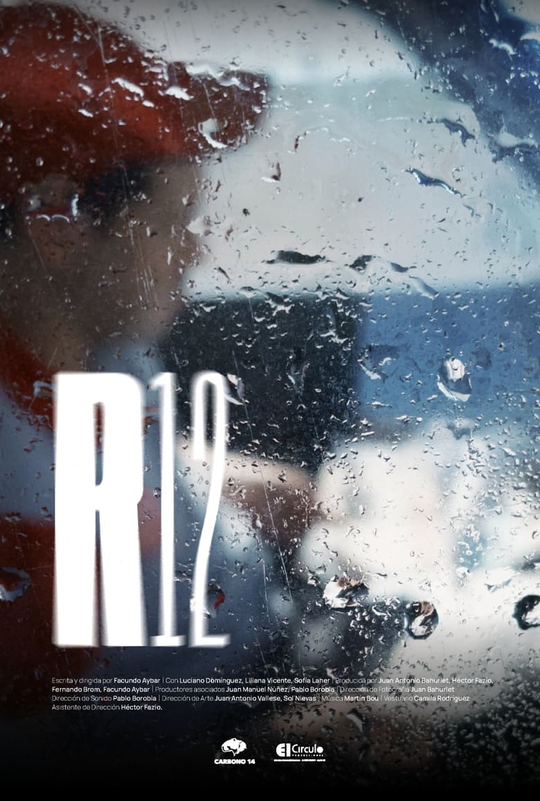 Poster of R12