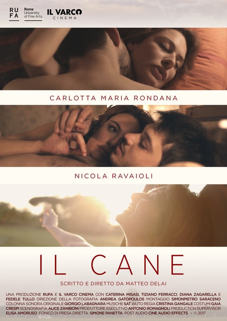 Poster of The Dog