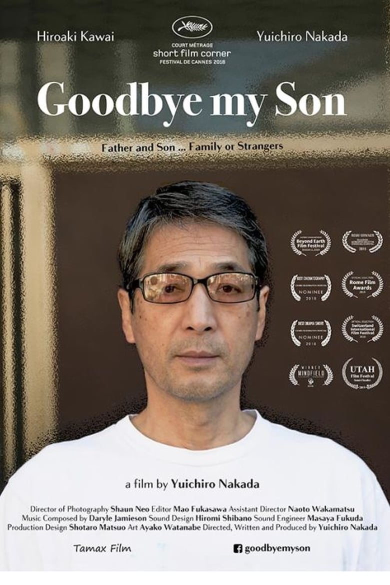 Poster of Goodbye my son