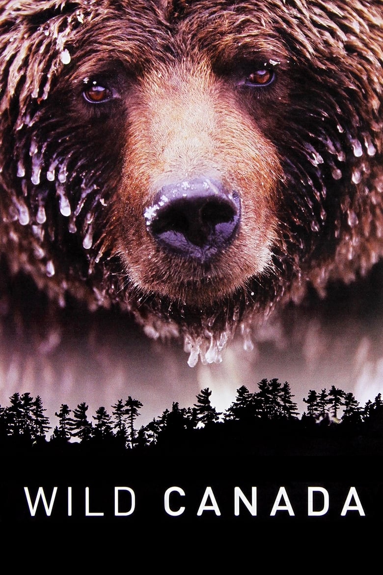 Poster of Wild Canada