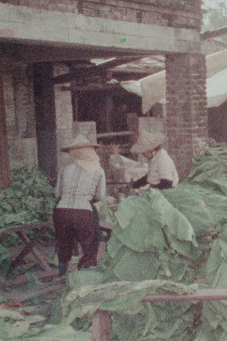 Poster of Meinung, A Town Cherishing Tradition