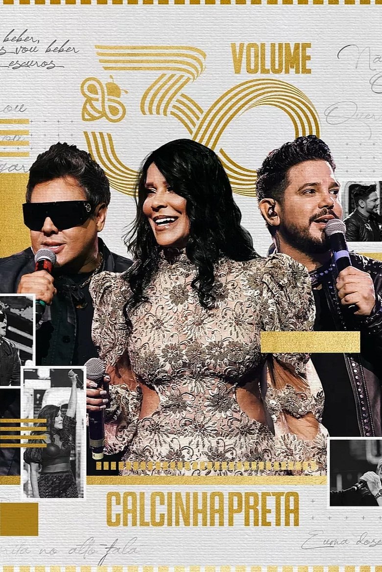 Poster of Calcinha Preta - Volume 30