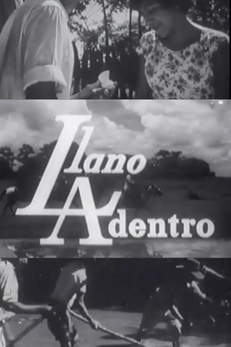 Poster of Llano adentro