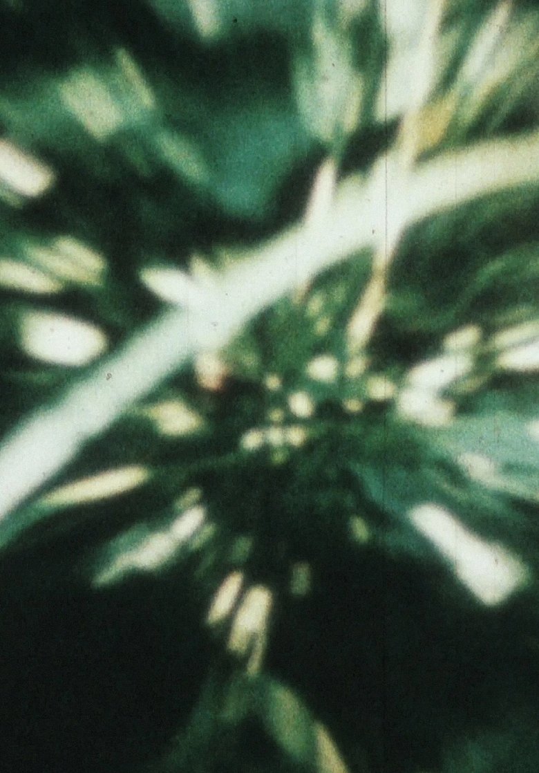 Poster of THE CRAMPED AREA