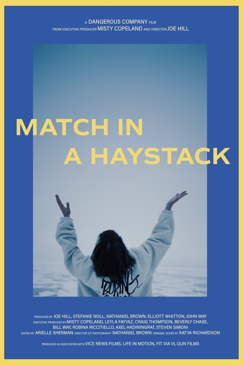 Poster of Match In A Haystack
