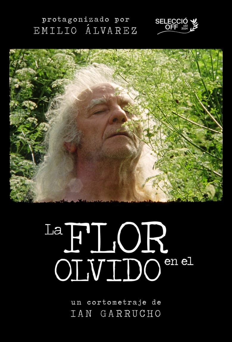 Poster of Flower in Oblivion