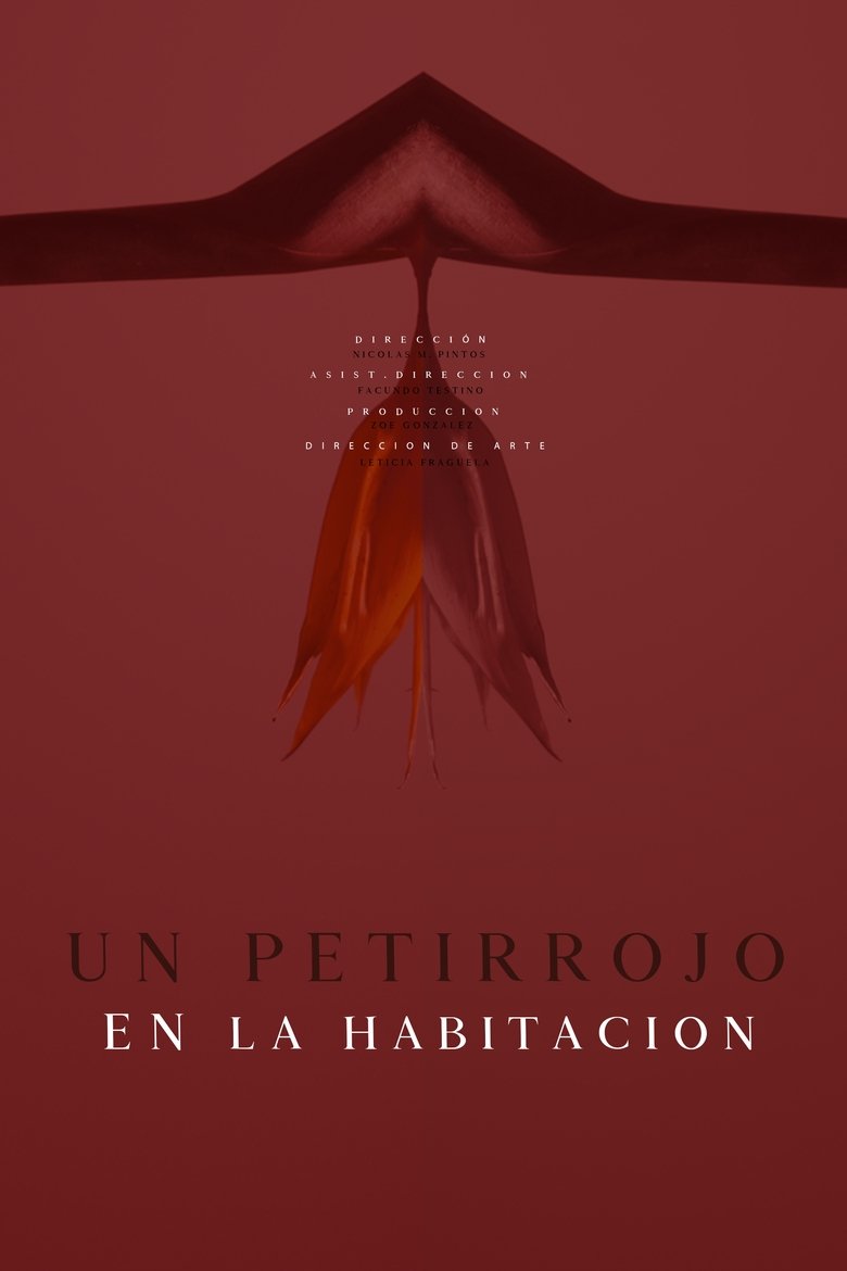 Poster of Un petirrojo en la habitación