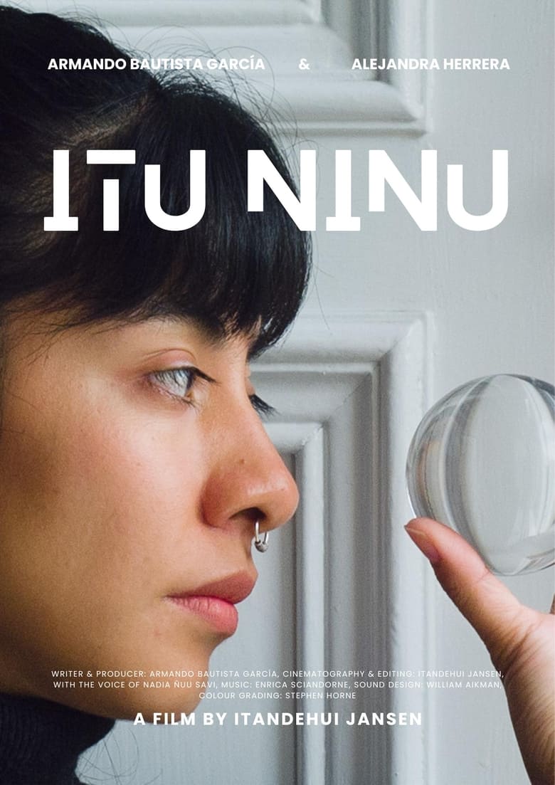 Poster of Itu Ninu