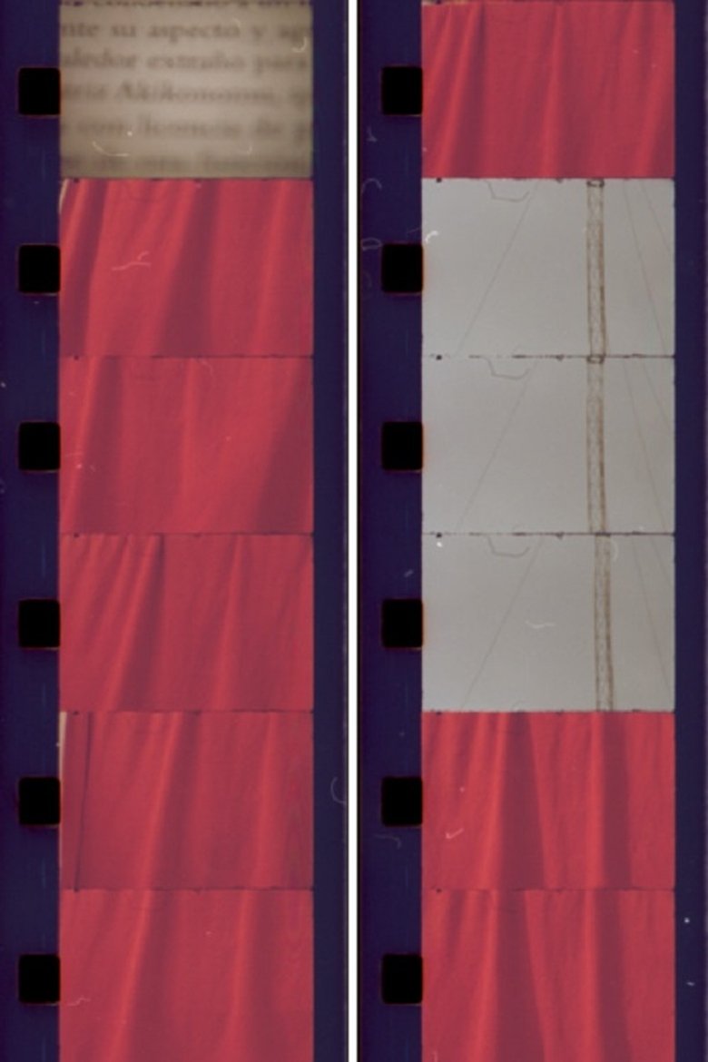 Poster of Akikonomu